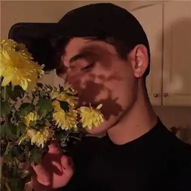 6686体育铁牌作者Violet