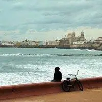 6686体育中级作者憨憨女王